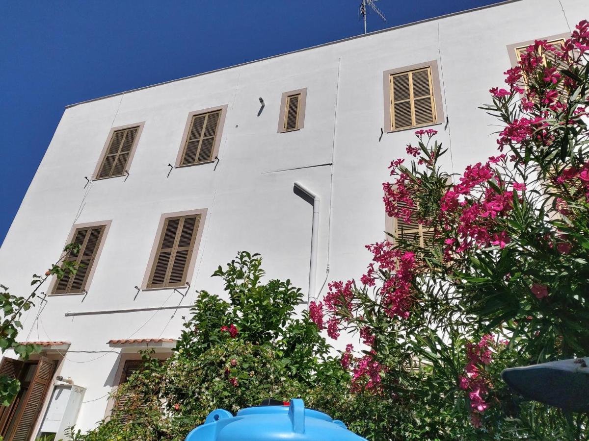 Whole Holiday Home Apartment Splendid Civitavecchia Da Pamino & Priscilla Εξωτερικό φωτογραφία